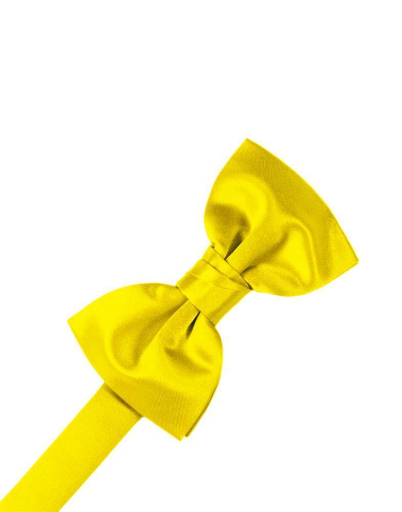 Sunbeam Luxury Satin Bow Tie