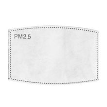CARDI PM 2.5 Filter Inserts (Kids)