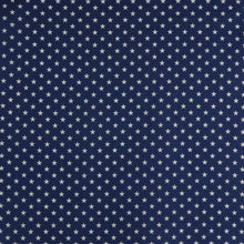 CARDI "Stars" Blue & White Face Mask